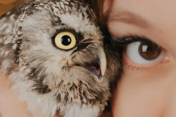 카지노 비 베츠 지원